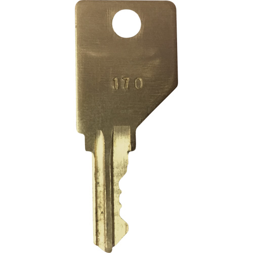 Replacement Key for Frost Smoking Receptacles Mukwa Safety Services
