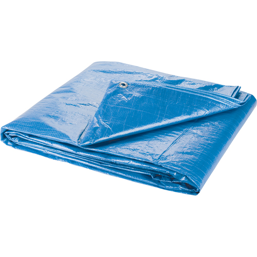 B&acirc;che, Standard, Bleu, 7' x 5' x 4 mils Mukwa Safety Services