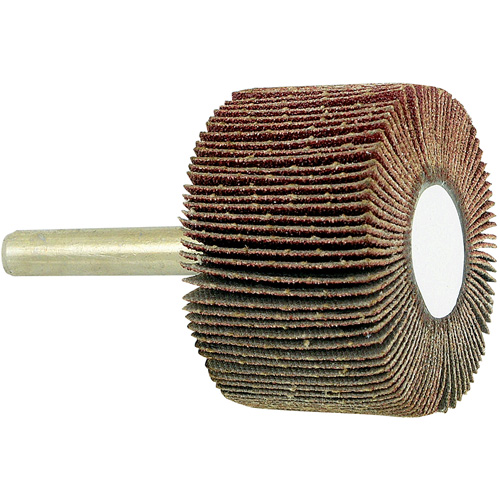 Disque &agrave; lamelles mont&eacute; sur mandrin, Grain 80, 1-1/2" x 1" x 1/4" Mukwa Safety Services