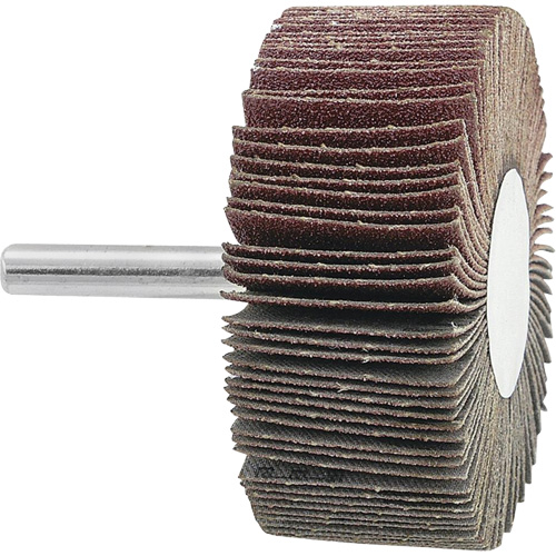 Mounted Flapwheel, 120 Grit, 2-1/2" x 1" x 1/4" Mukwa Safety Services