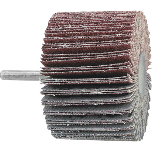 Mounted Flapwheel, 60 Grit, 3" x 1" x 1/4" Mukwa Safety Services