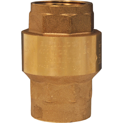 Spring-Loaded Check Valve Mukwa Safety Services
