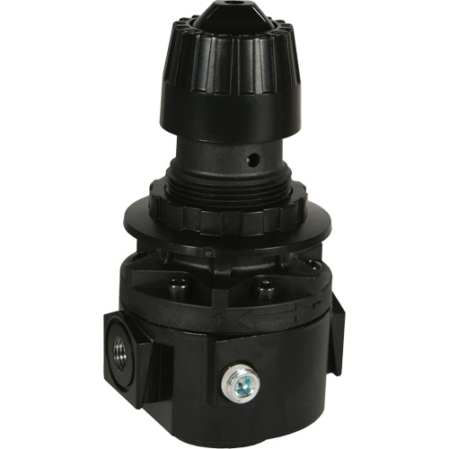 Wilkerson Regulator R26, 1/2" NPT, 300 psi Max. PSI, Standard Mukwa Safety Services