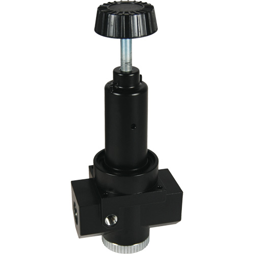 R&eacute;gulateur &agrave; d&eacute;bit &eacute;lev&eacute; R30 Wilkerson, 3/4" NPT, PSI max. de 300 psi, Standard Mukwa Safety Services