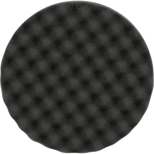 Polishing Pad, 8" dia., Foam Mukwa Safety Services