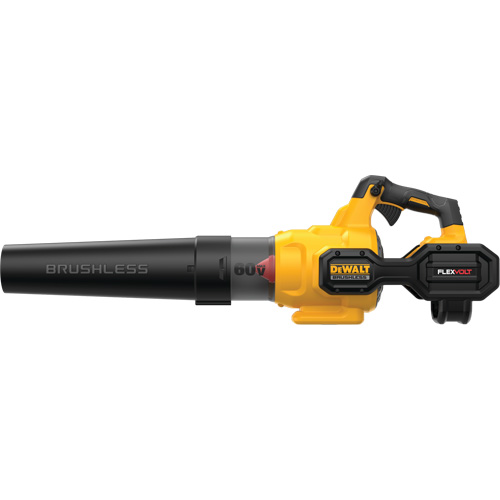 Souffleur axial sans balai portatif Flexvolt, 60 V, Vitesse d'air 125 mi/h, &agrave; pile Mukwa Safety Services