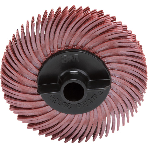 Disque &agrave; soies radiales, RB- ZB Scotch-Brite, C&eacute;ramique, Grain 220, 2" dia. Mukwa Safety Services