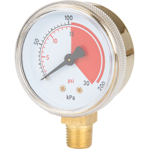 Brass Gauge, 2" , 30 psi, Bottom Mount, Analogue Mukwa Safety Services