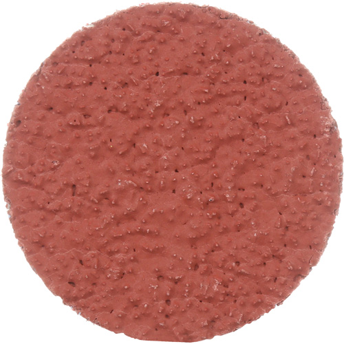 Disque &agrave; d&eacute;ligner durable II Roloc Cubitron, 2" dia., Grain 36+, C&eacute;ramique Mukwa Safety Services