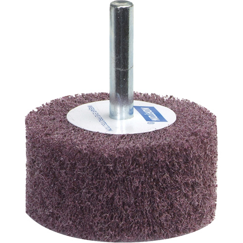 Meule &agrave; lamelles abrasives Bear-Tex Mukwa Safety Services