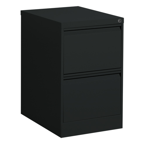 Classeur vertical, Acier, 2 tiroirs, 18-1/7" la x 25" p x 29" h, Noir Mukwa Safety Services