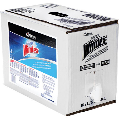 Nettoyant pour vitres Windex avec Ammoniac-D, 5 gal., Sac Mukwa Safety Services