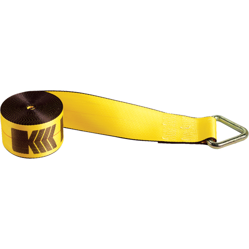 Tendeurs d'arrimage pour treuil, Anneau delta, 4" , 30' , Charge d'utilisation max. 5400 lb (2450 kg) Mukwa Safety Services