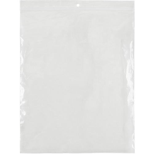 Poly Bags, Reclosable, 10" x 8", 4 mils Mukwa Safety Services