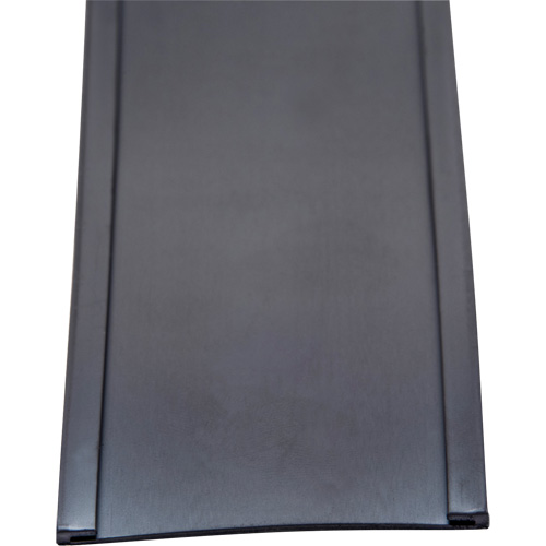 Card Holder, Magnetic, 600" L x 2" W Mukwa Safety Services