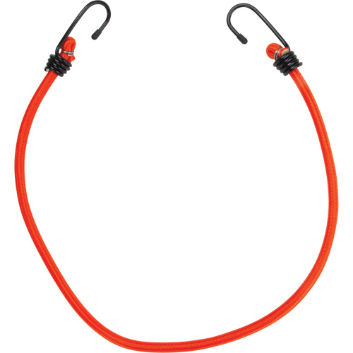Bungee Cord Tie Downs, 24" Mukwa Safety Services