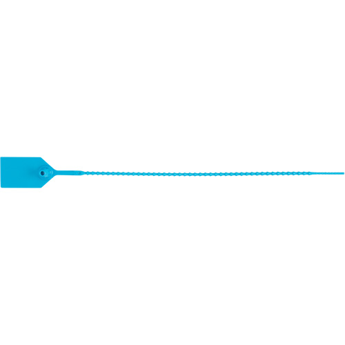 Scell&eacute; de s&eacute;curit&eacute; standard, 12", Plastique, Scell&eacute; en plastique Mukwa Safety Services