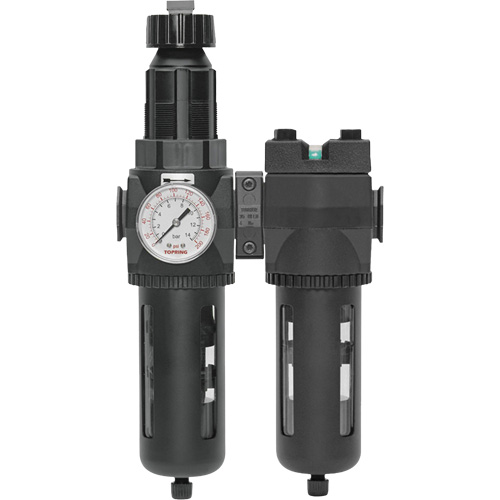 Filtre/d&eacute;tendeur & filtre coalescent Modulair 400 avec bol standard & drain manuel, 3/4" NPTF, 150 psi, Capacit&eacute; de 9,13 oz liq. Mukwa Safety Services