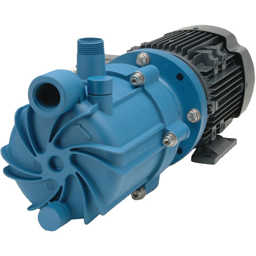Self-Priming Magnetic Drive Pump with Carbon Bushing Mukwa Safety Services