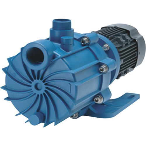 Self-Priming Magnetic Drive Pump with Carbon Bushing Mukwa Safety Services