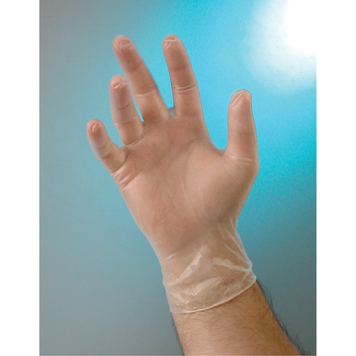 Examination Grade Gloves, Small, Vinyl, 4-mil, Powder-Free, Clear, Class 2 Mukwa Safety Services