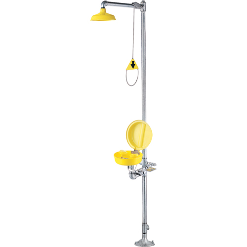 Combinaison de douche oculaire/faciale a/couvercle Mukwa Safety Services