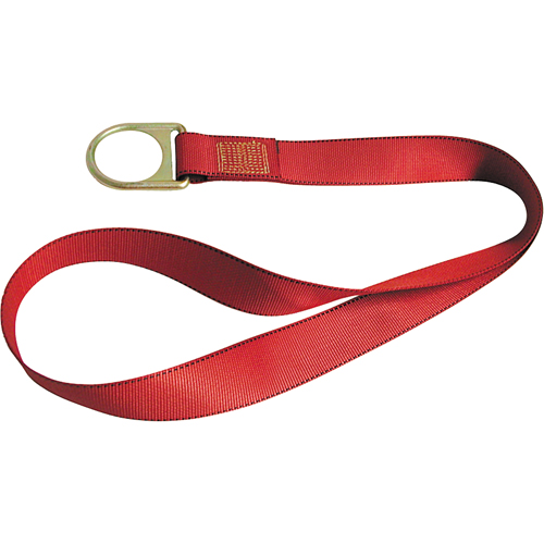 PointGuard Anchorage Connector Straps, D-Ring, Temporary Use Mukwa Safety Services