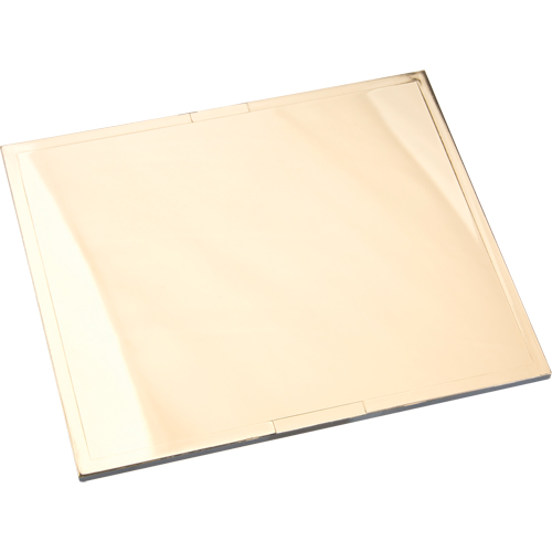 Plaques filtrantes Omni-View en or Mukwa Safety Services