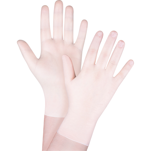 Disposable Gloves, X-Small, Vinyl, 4-mil, Powder-Free, White Mukwa Safety Services