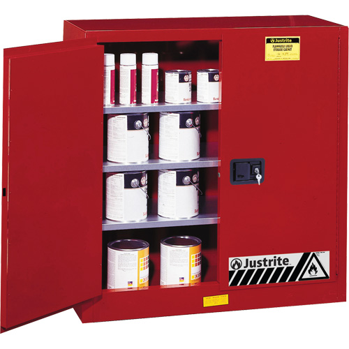 Armoire de s&eacute;curit&eacute; pour la peinture et les encres combustibles EX Sure-Grip, 40 gal., 3 tablettes Mukwa Safety Services