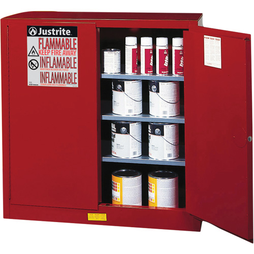 Armoire de s&eacute;curit&eacute; pour la peinture et les encres combustibles EX Sure-Grip, 40 gal., 3 tablettes Mukwa Safety Services