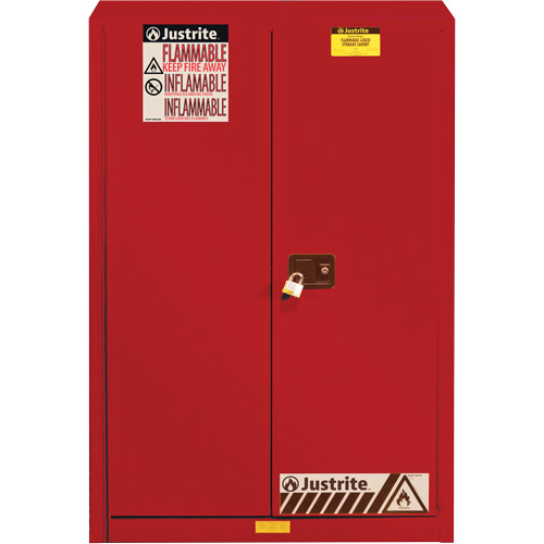 Sure-Grip&reg; EX Combustibles Safety Cabinet for Paint and Ink, 60 gal., 5 Shelves Mukwa Safety Services