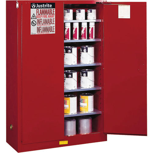 Sure-Grip&reg; EX Combustibles Safety Cabinet for Paint and Ink, 60 gal., 5 Shelves Mukwa Safety Services