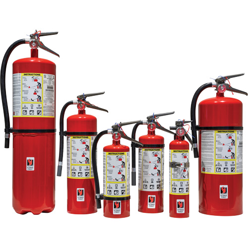 Extincteur d'incendie, ABC, Capacit&eacute; 5 lb Mukwa Safety Services