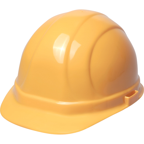 ERB Casque de s&eacute;curit&eacute; Omega II, R&eacute;pond aux normes CSA type 2, Suspension Rochet, Non ventil&eacute; Mukwa Safety Services