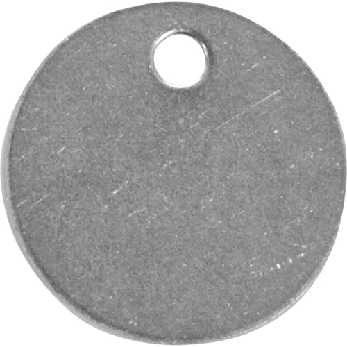 Blank Tags, Stainless Steel, 1.5" dia Mukwa Safety Services