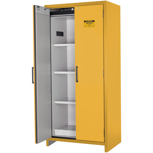 Armoire d'entreposage 90 minutes s&eacute;curitaire et conforme &agrave; la norme EN, 30 gal., 2 Porte(s), 35,16" La x 76,89" h x 24,21" p Mukwa Safety Services
