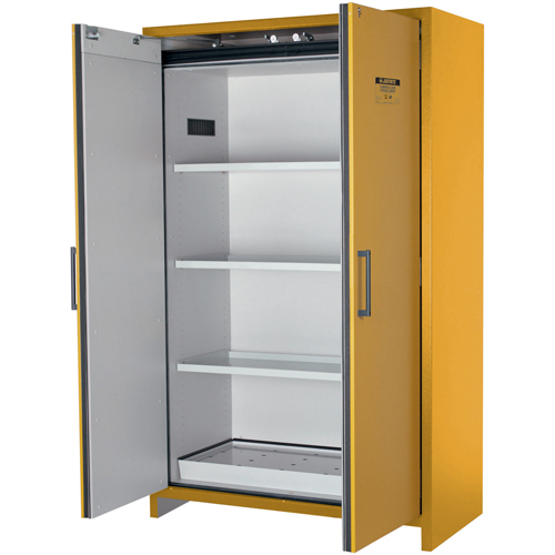 Armoire d'entreposage 90 minutes s&eacute;curitaire et conforme &agrave; la norme EN, 45 gal., 2 Porte(s), 46,97" La x 76,89" h x 24,21" p Mukwa Safety Services