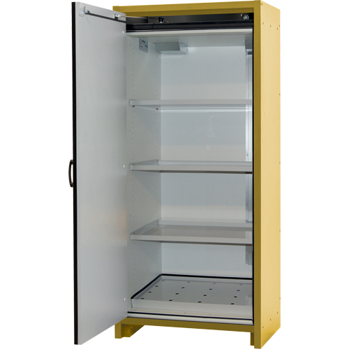 Armoire d'entreposage 30 minutes s&eacute;curitaire et conforme &agrave; la norme EN, 30 gal., 1 Porte(s), 34,02" La x 76,65" h x 24,21" p Mukwa Safety Services