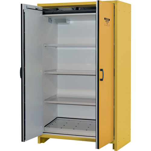 Armoire d'entreposage 30 minutes s&eacute;curitaire et conforme &agrave; la norme EN, 45 gal., 2 Porte(s), 45,83" La x 76,65" h x 24,21" p Mukwa Safety Services