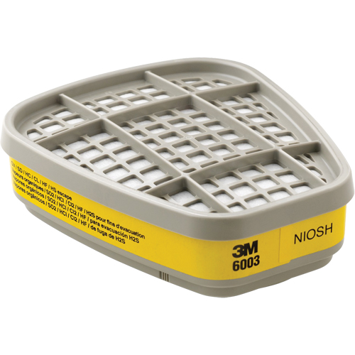 Cartouches pour respirateur s&eacute;rie 6000, Cartouche gaz/vapeur, Vapeurs organiques/Gaz acides Mukwa Safety Services