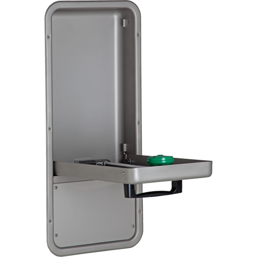Eye/Face Wash Station, Wall-Mount Installation, Stainless Steel Bowl Mukwa Safety Services