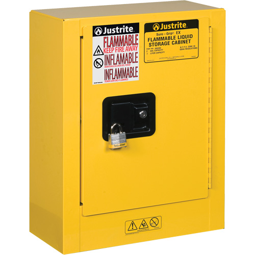 Mini-armoires de s&eacute;curit&eacute; Sure-Grip EX pour produits inflammables, 2 gal., 1 Porte(s), 17" La x 22" h x 8" p Mukwa Safety Services