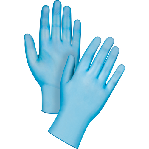 Medical-Grade Disposable Gloves, X-Large, Vinyl, 4.5-mil, Powder-Free, Blue, Class 2 Mukwa Safety Services