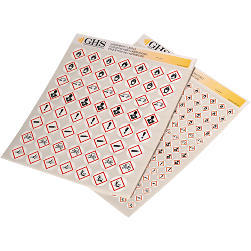 Assortiment d'&eacute;tiquettes avec pictogrammes sgh, Vinyle, Feuille, 1/2" lo x 1/2" la Mukwa Safety Services