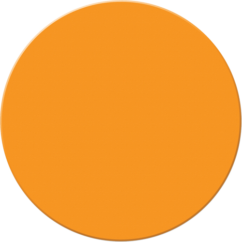 Marqueurs all&eacute;g&eacute;e/5S Armor Stripe, Cercle, 6" lo x 6" la, Orange, Plastique Mukwa Safety Services