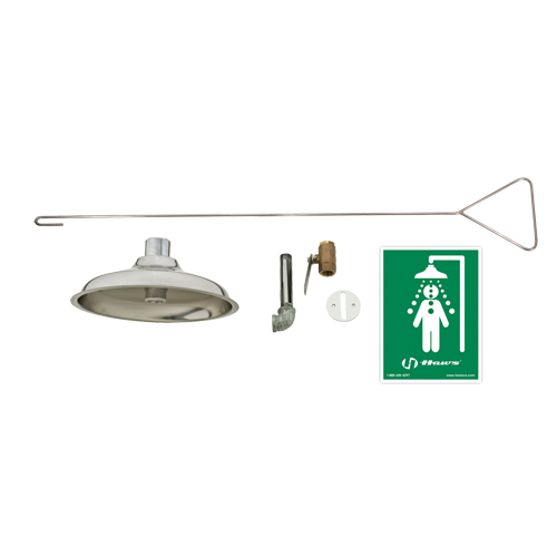 Concealed Drench Shower, Ceiling-Mount Mukwa Safety Services
