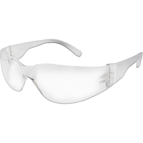 Lunettes de s&eacute;curit&eacute; s&eacute;rie E NOVA, Lentille Transparent, R&eacute;pond ou surpasse la norme CSA Z94.3 Mukwa Safety Services
