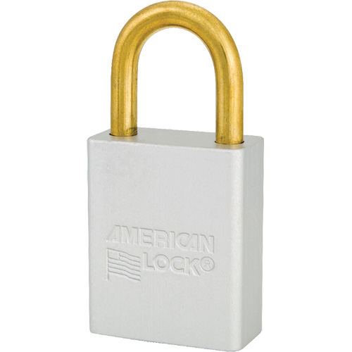 Cadenas de s&eacute;curit&eacute; American Lock, Transparent, Cl&eacute;s identiques, Aluminium, Largeur de 1-1/2" Mukwa Safety Services