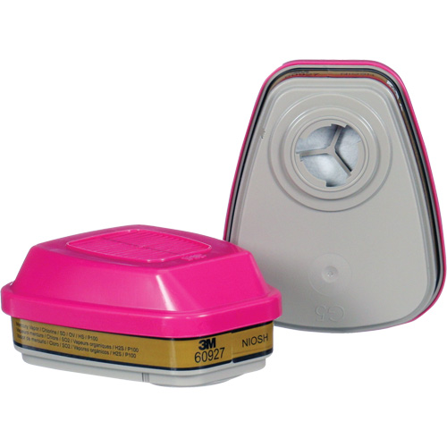 Cartouche, Combinaison cartouche et filtre contre les particules pour gaz/vapeurs, Gaz multiples/Vapeurs/P100 Mukwa Safety Services